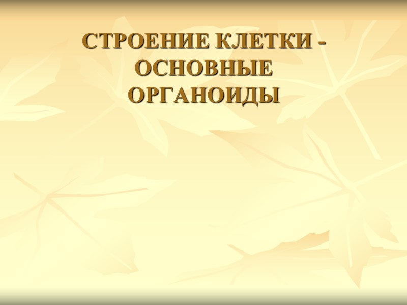 СТРОЕНИЕ КЛЕТКИ - ОСНОВНЫЕ  ОРГАНОИДЫ